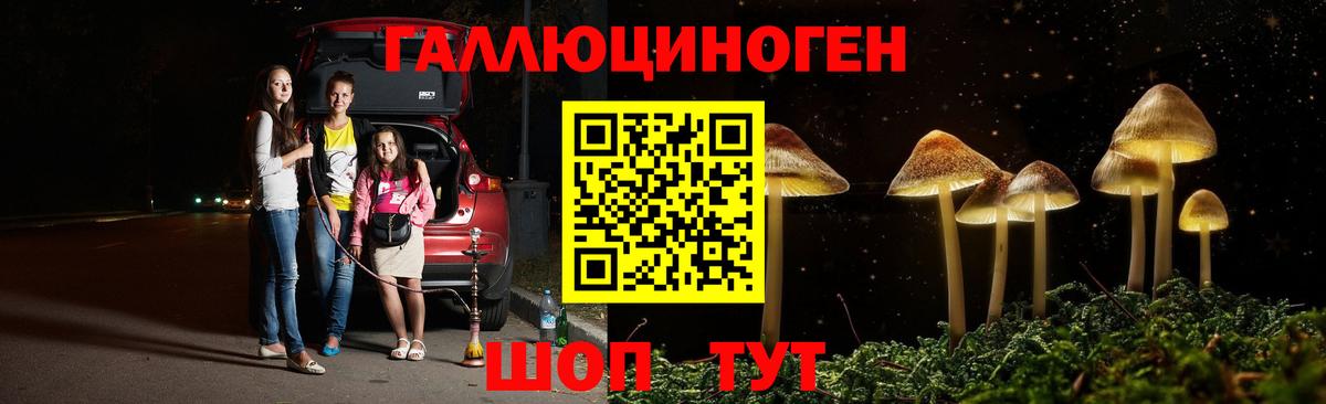 Псилоцибиновые грибы MAGIC MUSHROOMS Волоколамск