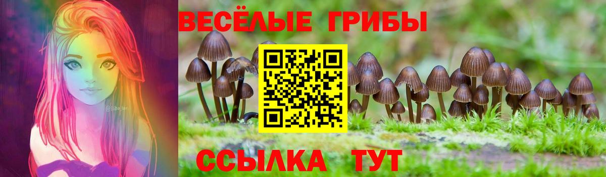 Галлюциногенные грибы MAGIC MUSHROOMS  Вход с VPN  Волоколамск 